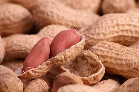 تصویر 2 از قیمت خرید بادام زمینی شور + فروش ویژه